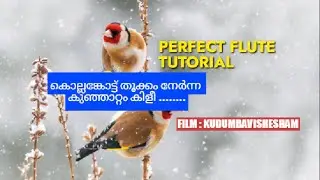കൊല്ലങ്കോട്ട് തൂക്കം നേർന്ന കുഞ്ഞാറ്റം കിളി ll FLUTE TUTORIAL ll Kollankottu thookkam nernna ll