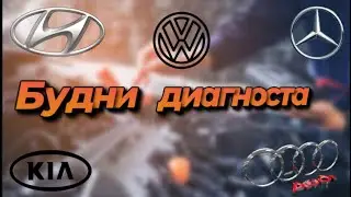 Kia soul ЦЗ не открывает /Audi a3 птф не горит /Mercedes GL166массаж/Hyundai Elantra утечка/Vw polo.