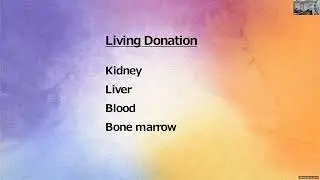 Organ Donation   Have the Conversation