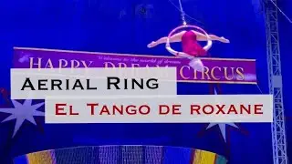 Aerial hoop &ldquo;Roxane&rdquo; Happy Dream Circus Japan