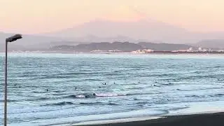 【鵠沼海岸】2026.1.16(金)AMモモコシ