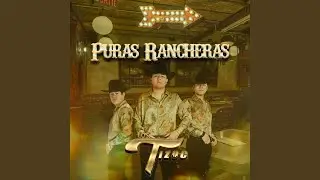 PERO QUERERTE JAMAS (EN VIVO)