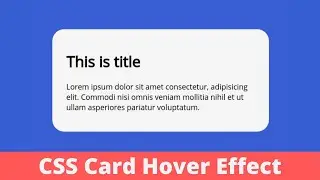 CSS Card Hover Animation