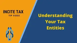 Understanding Your Tax Entities