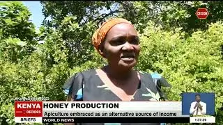 Apiculture enables up-scaled conservation efforts