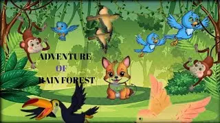 The Rainforest Adventure//🐒🦥🐆🐬🐦//@Alyo Game