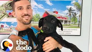 Guy Adopts A 3-Legged Dog After His Divorce | The Dodo