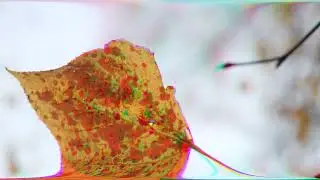 Today. (Indie-Electronic Muziekvideo - Autumn in Wilhelminapark, Utrecht.)