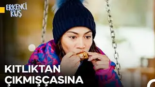 Böyle Güzel Yemekler Varken Diyet Yapmak İmkansız - Erkenci Kuş