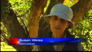 Albuquerque gun business offering 