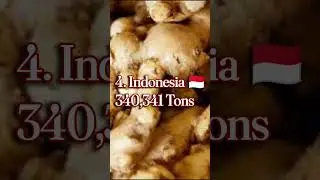 Top 5 Ginger Producing Countries #shortsfeed #onion #world_data #top10 #educatedshorts