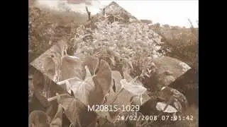 Mi Ranchito Los Médicos
