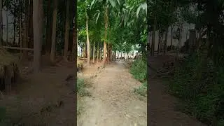 তারাও মনে করেছিল ভালো হয়ে যাব। #haytime #abu_toha_muhammad_adnan