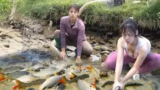 Full Video: Hunting Wild Fish, Survival Skills, Catch Big Fish With Pump, Catch a Lots of Fish