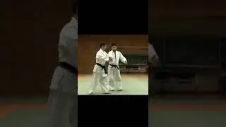 Kenji Ito Sensei demonstrates hiji ate kokyu nage