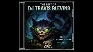 The Best of  DJ Travis Blevins 2025 Feat DJ Andrew Gaylor