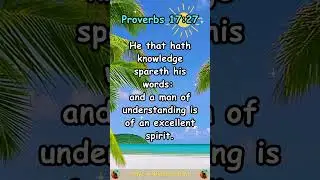 Excellent Spirit: (Proverbs 17:27 KJV) Bible Study