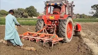Corn cultivation for grass (makai chara ki kashat)