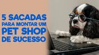 Como Montar um Pet Shop de Sucesso