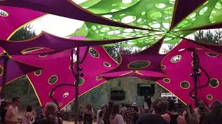 HOG Live@Forrest Explosion SNT2019