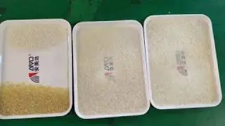 AMD RG Rice Color Sorter