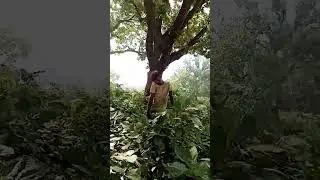 #tarending #videos #bhotiya 😱😱