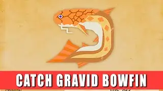 How to catch Gravid Bowfin Monster Hunter Wilds Gravid Bowfin location and fishing tips