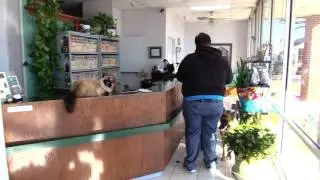 Legacy Village Veterinary Clinic