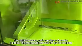 SLM 3D Printing