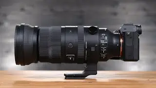 Birds Never Saw You Coming: Sigma DG DN 150-600mm Review