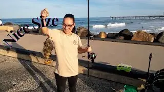 Evening Fish On The Spit Wall