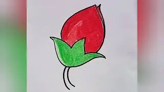 How to draw bud / flower bud drawing / kids easy to draw a bud / drawing for kids and Toddlers