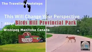 This Will Change Your Perspective About Birds Hill Provincial Park | Beach Park Winnipeg Manitoba