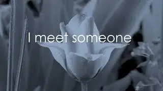 True Love Whatsapp English Status | Best Attitude Quotes About love | English Status for Whatsapp