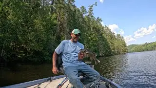 Fall glidebait and Chatterbait bass fishing tips with how to make your own glide bait 