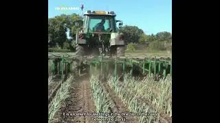 The Weeding Machine from AGRO CHRISTIAENS