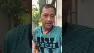 Growing tilapia fish in concrete pond