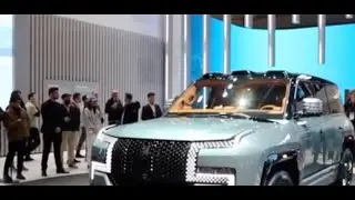 Israel Suspends Use of Chinese EVs Amid National Security Concerns