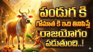 భోగి రోజు గోమాతకి ఇది తినిపిస్తే రాజయోగం పడుతుంది! 🐄✨ #gomata 