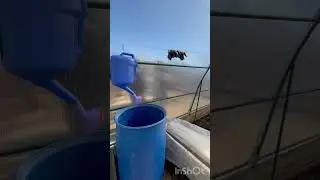 Сад 100 В-Пышма