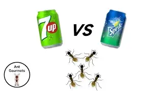 7UP VS Sprite / Which Lemon-Lime Soda Do Ants Prefer? #timelapse #sprite