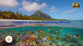 Tropical Ocean Relaxing Music – Soft Piano & Flute for Work, Study & Deep Focus 🌴🐠
