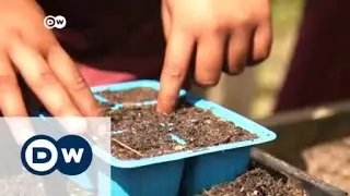 African activist sows seeds of change  | Africa on the Move