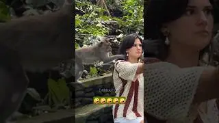 Things That Happen Only in the USA!....#bablucoco #funny #funnyvideos #funniestvideo #funnyseries