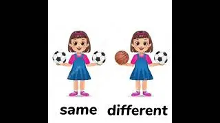 LEARNING SAME AND DIFFERENT