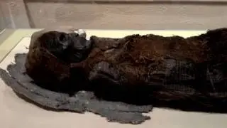 mummy ~ 樓蘭美女（Loural Beauty）