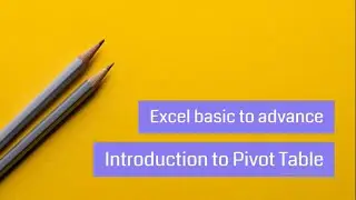 Excel: How to make Pivot table Basics