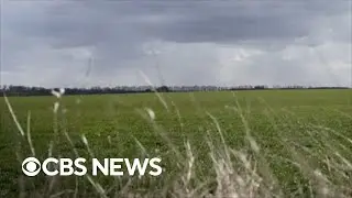 Ukraine war threatens global food security