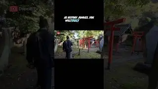 Это прекрасное святилище в городе Сумида, Токио 🇯🇵 #святилища #токио #сумида #япония