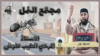 الأستاذ المهدي الطيب علوش حفظه الله || مجتمع النمل من آيات الله #4